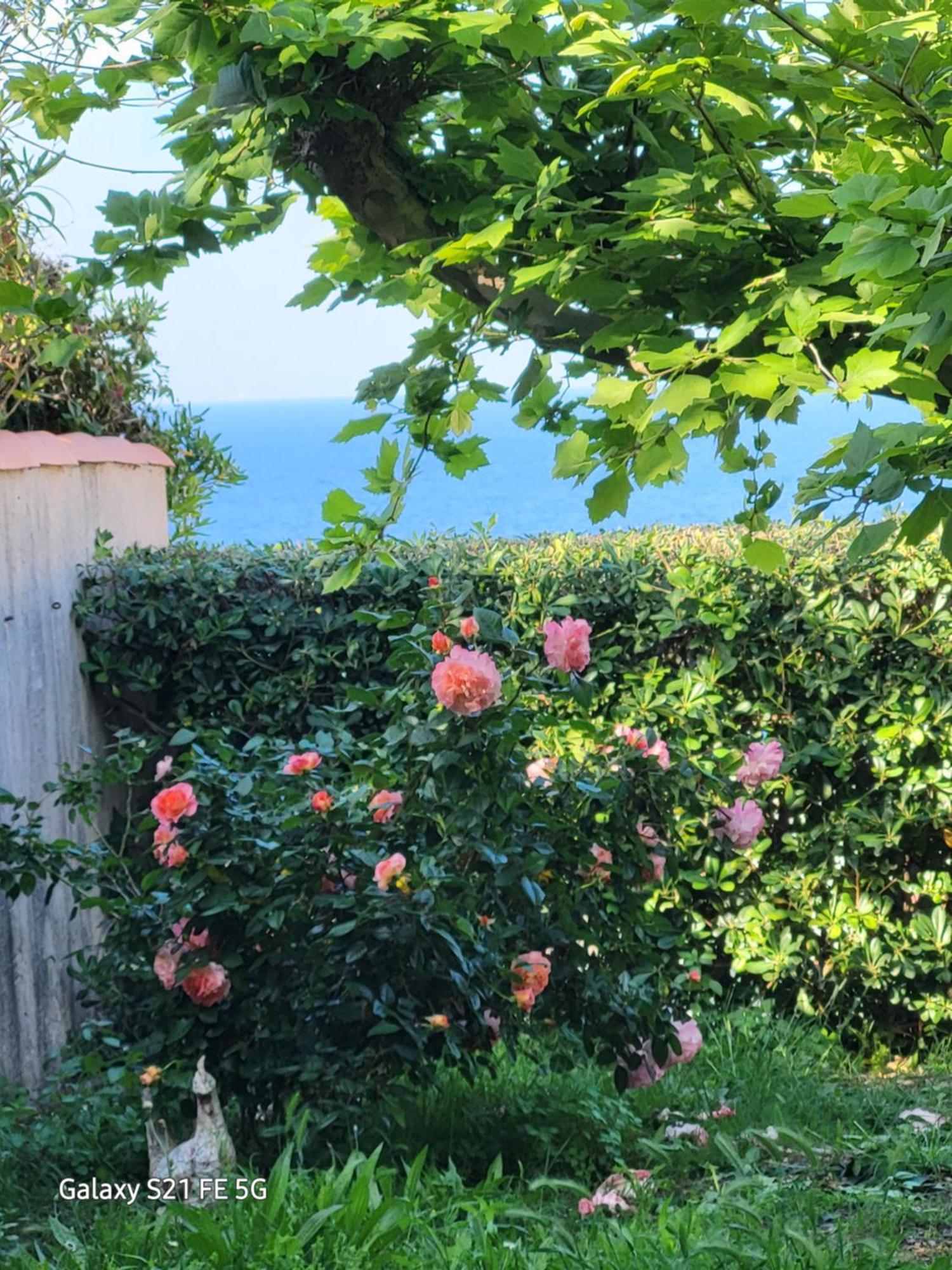 Chez Isabelle Panzió Luri Kültér fotó